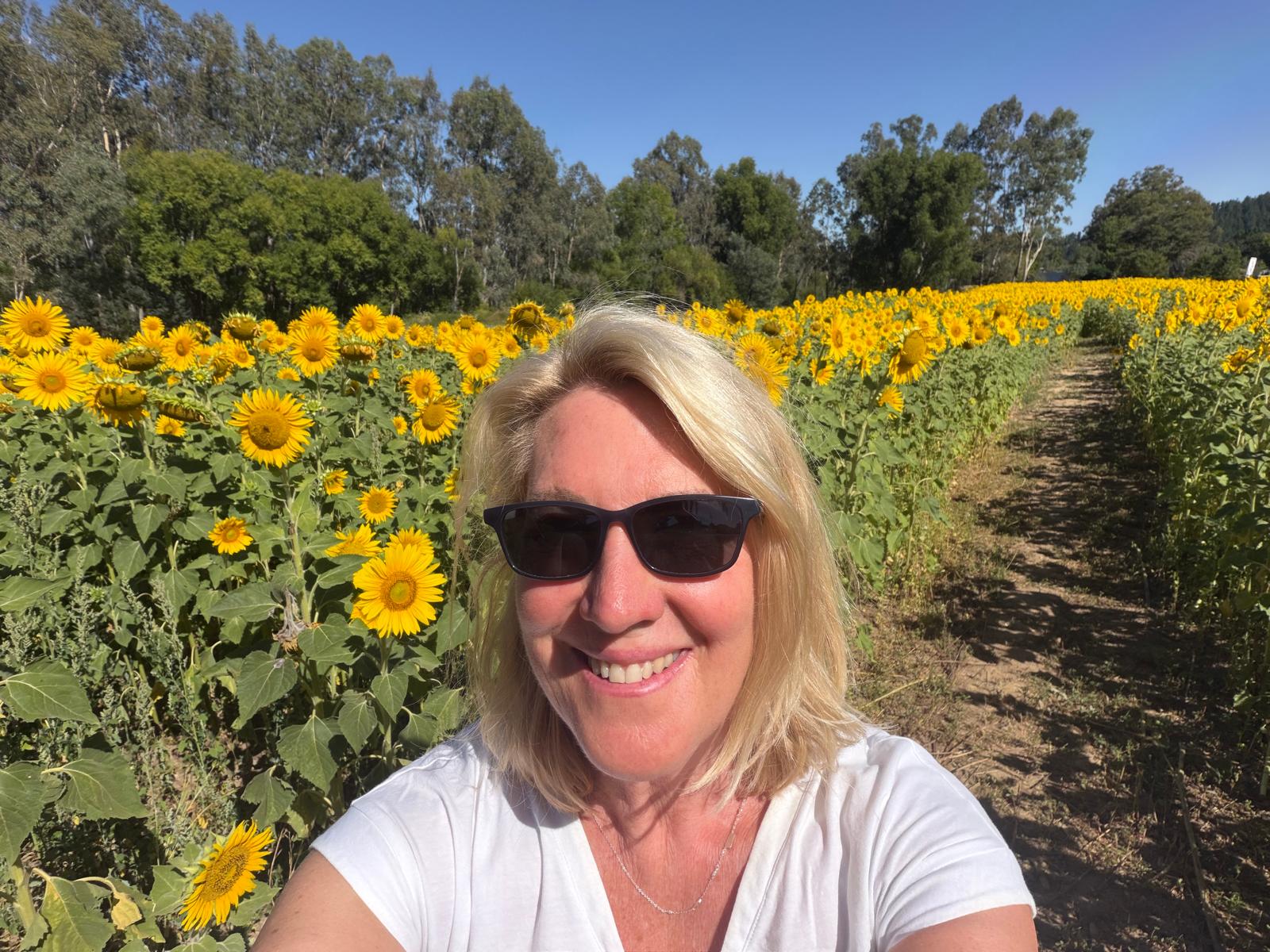 Among the sunflowers